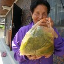 수복상회 이미지