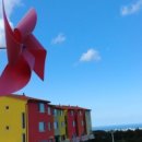 제주도 플리마켓 정보/제주 농부들의 파머스마켓 후기