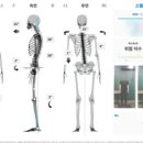 소마피트-인