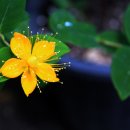 충청대로 이미지