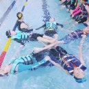 후포체육관 이미지