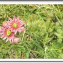 성빈한의원 이미지