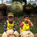 선율어린이집 이미지