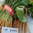 선향농장 네이버블로그