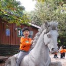 예일유치원 이미지