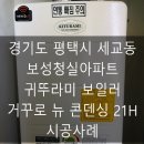 청실보성 이미지