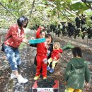 박사골농장 이미지