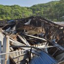 희망이 움트집 이미지