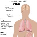 건강안마시술소 이미지