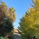 서귀포테니스장(실외) 이미지