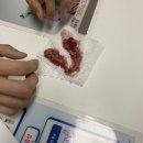 풍동 동물병원 | 풍동동물병원,펫스티벌동물병원