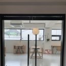 강아지분양 고양이분양 컴투펫 수원점 이미지