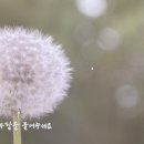 알림터