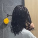 조군헤어