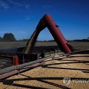 미중농장 이미지