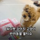 천풍동물병원 이미지