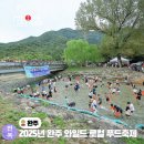 금앤옥통나무팬션 | 2025 완주 와일드 로컬 푸드축제 9월 가을 축제