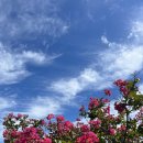 대성민박 이미지