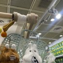 꿈이자라는문고 이미지