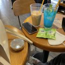 민주댕이 이미지