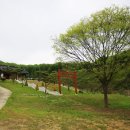 심덕부묘 이미지