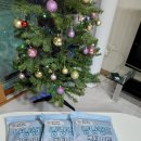 냥냥 | 고양이 벤토나이트모래 빈이네 다묘다견 냥냥샌드 후기