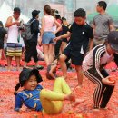 김윤찬(아무르)이 다녀온 둔내 고랭지 토마토축제 이미지