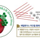 ㈜탑프레쉬 이미지