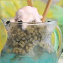 일오삼농장 이미지