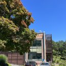 평창백덕산더덕 | 분당 판교 운중동 운중농원갈비- 경치좋은 고기 가족식사 소갈비 평양냉면 맛집 (룸/메뉴)