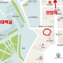 서울야구연습장