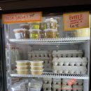 소들농장 이미지