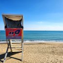 바다여행 | 부산 기장 임랑해수욕장에 가야 하는 이유, 가을바다 여행 후기