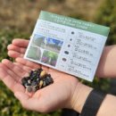 그린메디칼 이미지