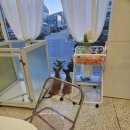 멍글하우스 이미지