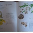 과학아 나랑놀자 이미지