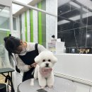 우프루프 이미지