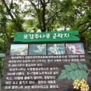 동산꽃화원