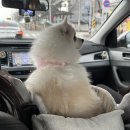은지대리점