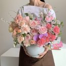 시트러스디자인 이미지