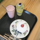 솟발농장 | 춘천 카페 명소 컴포어 갔다 오길 잘했다