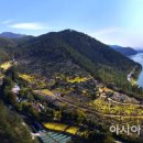 고흥-8호 이미지