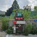 숲속개울가 이미지