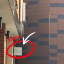 디어,도트 이미지