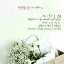 행복하시개 이미지