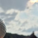 다원유통 이미지