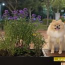 뭉쓰살롱 이미지