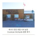 메이플농장 | 캐나다 런던 로컬 사과 농장 Crunican Orchards 방문 후기