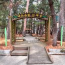 덕산마을회관 | 어린왕자가 기다리는 숲길, 삼척 덕산솔밭산책로 방문 후기 | 삼척 가볼만한곳