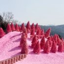 덕둔리136 이미지